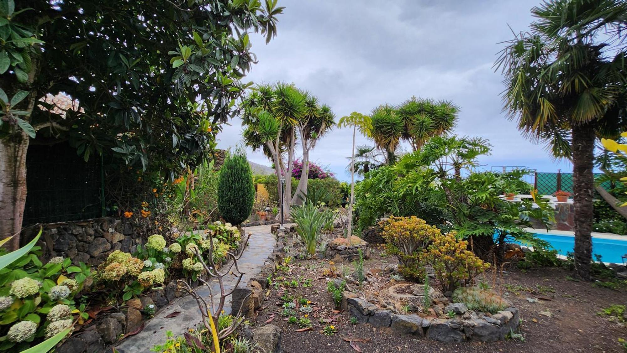 Oasis Hill Botanical Garden Villa Icod De Los Vinos Exterior photo